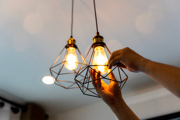 Best Electric Panel Repair  in Eureka Mill, SC